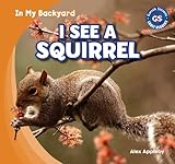 Cover for 9781433985591