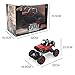AHAHOO RC Cars 1/18 Remote Control Off-Road Vehicle 2.4GHz 4WD Monster Truck Rock Climber High Speed Electric Racing Buggy with LED Light, Black