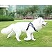 Medium Dog Harness (2nd GEN ),Black Front and Back Lead dog Harness Durable with Handle and 2 D Ring for Puppy ,Small Medium Dog Pet Supplies by Bondpaw