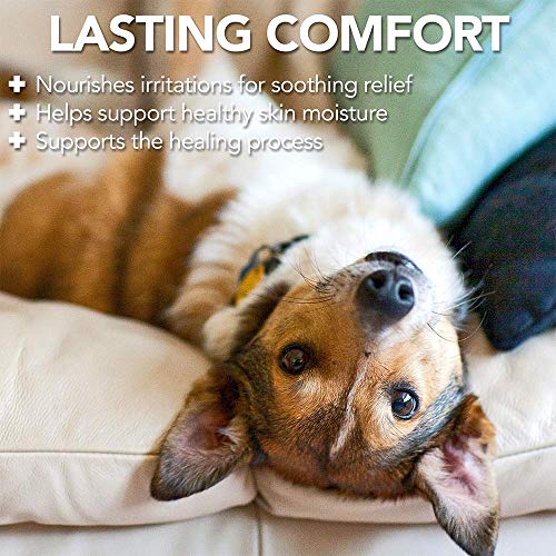 Vet?s Best Dog Hot Spot Itch Relief Spray Helps Soothe Dog Dry Skin, Rash, Scratching, Licking