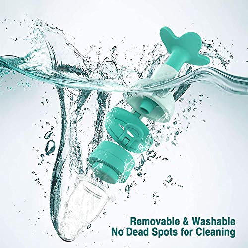 Baby Food Feeder Pacifier 2 Pack, Fresh Fruit Baby Teething Toy