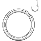 MissNity 2G 4G 6G 8G 10G 12G Clicker Rings 316L Surgical Steel Hinged Segment Hoop for Septum and Cartilage Earlobe Piercings, Diameter 10mm 12mm 14mm