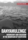 Banyamulenge: Insurgency and exclusion in the mountains of South Kivu (Usalama Project)