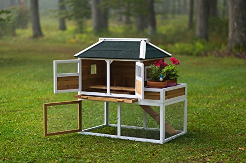 Prevue Pet Chicken Coop - Image 4