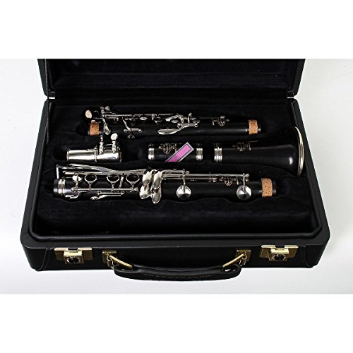 Buffet Crampon R13 Professional Bb Clarinet with Nickel Plated Keys 888365955308