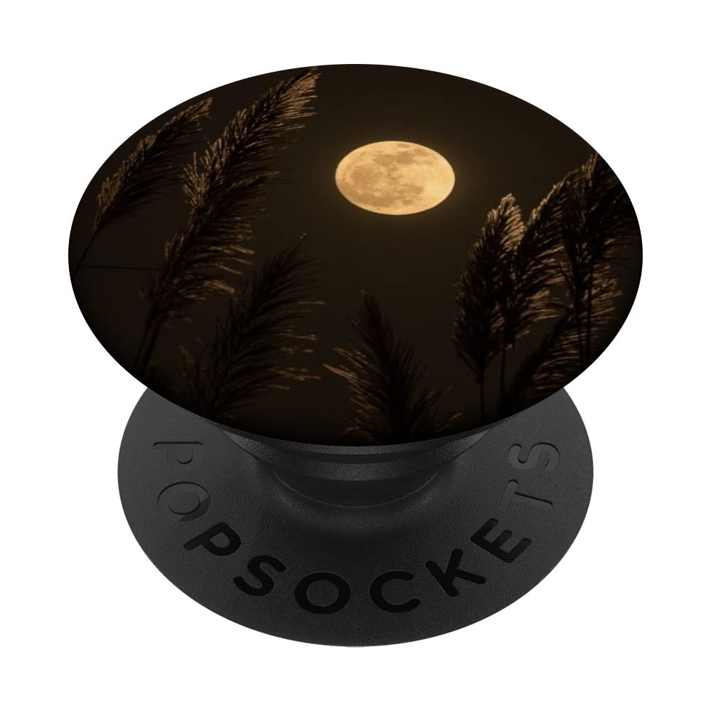 Full Moon Night PopSockets Swappable PopGrip