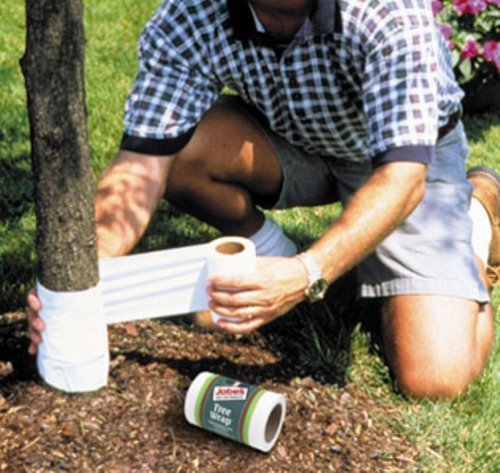 Jobe's Tree Wrap for Tree Trunk Protection (Reflects Heat and Provides Professional Protection from Insects) Stretches as Tree Grows, Wraps 3 to 4 Young Trees, 4 inches x 20 feet