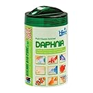 Hikari Bio-Pure Freeze Dried Daphnia for Pets, 0.42-Ounce