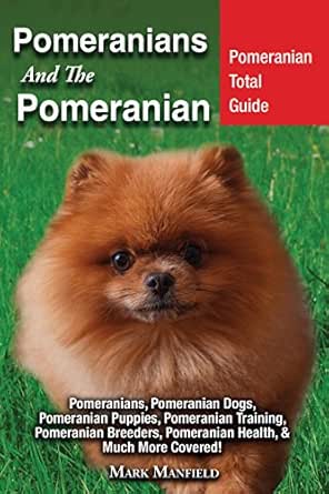 pomeranian amazon