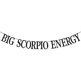 Big Scorpio Energy Banner, Scorpio Birthday Decor, 12 Zodiac Constellations Birthday Themed Party Decorations (Black Glitter)