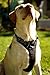 Dog Harness No Pull No Choke Adjustable Vest, Car Safety, Easy Control for Walking Hiking, 3M Reflective Oxford Material, Durable, Breathable - Small,Medium, Large & Extra Large Dog & Puppy L-Black