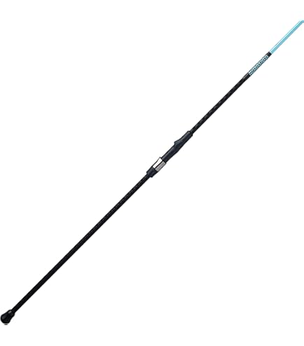 ロッド daiwa prime surf T27-425 Amazon.com : Daiwa Prime SURF T #27-425-W : Sports & Outdoors