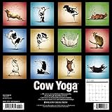 Image de Cow Yoga 2018 Calendar