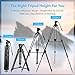 COOCHEER Professional Video Tripod, Heavy Duty Tripod System with 360 Degree Fluid Drag Video Head, 1/4