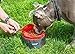 Leash Boss Collapsible Dog Bowls - Two Large 64 Ounce Folding Travel Water and Food Bowls (7.5 x 3.5 Inch, Grey)