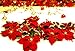 HOMESEASONS Christmas Decoration Garland,Pre-Lit Velvet Silk Poinsettia 6 Feet Garland with Red Berries and Holly Leaves, Christmas Garland (1 Pack, Red)