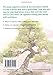 Bonsai Basics - A Comprehensive Guide to Care and Cultivation: A Pyramid Paperback (Pyramid Gardening (Paperback))