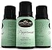 Living Pure Essential Oils #1 Peppermint Oil - Aid Indigestion & Freshen Rooms - Natural Headache Relief - 100% Organic Therapeutic & Aromatherapy Grade, 15ml
