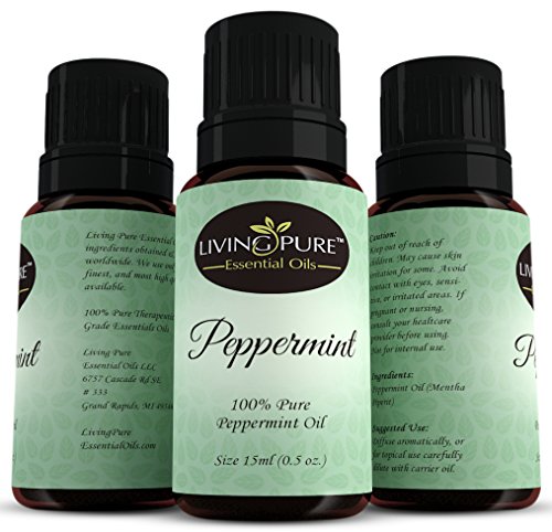 #1 Peppermint Essential Oil - Pure Peppermint Oil by Living Pure Essential Oils - Aid Indigestion and Freshen Rooms - Natural Headache Relief - 100% Organic Therapeutic & Aromatherapy Grade - 15ml - Thumbnail 6