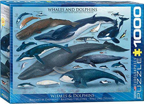 EuroGraphics Whales and Dolphins Puzzle (1000-Piece)