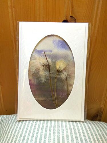 Handmade greetings card from the West of Ireland. Watercolour and wild flowers. Bog Cotton, 2nd wedding anniversary card