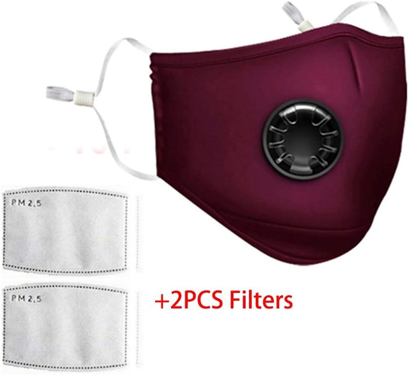 PACHILLY Washable Reusable N95 Anti Air Pollution Face Mask with 2 Filters - Safety Dust Mask Reusable Washable Face Mask Anti for Outdoor Sports, Gardening Travel Craftsman Resist Dust