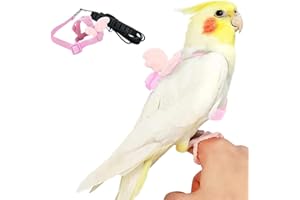 FORZENA Birds Adjustable Harness and Leash, Parrot Outdoor Flying Training Traction Rope Straps with Cute Wing for Small Animal Birds, Parrots, Pigeons, Lizard, Turtles (M,Pink)
