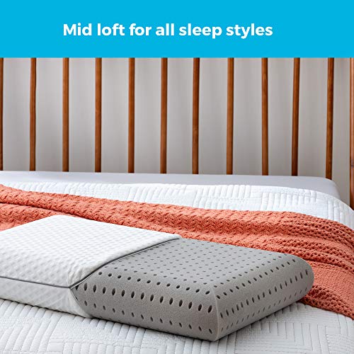 LINENSPA Pillow Ventilated Charcoal Pillows Standard size Memory