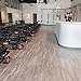 CALI Vinyl Plus Sample, Vinyl Plank Flooring, Gray Ash, 7