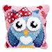 Beyond Your Thoughts DIY Latch Hook Kits Cute Blue Owl Pillow Cover Pattern Printed Crochet Needlework Crafts for Kids Adults and Beginners Family Decoration 16.5 * 16.5 in BZ981