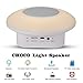 Outdoor Bluetooth Speaker with Night Light, Tent Lights ,Beauker Wireless Speaker with Touch Control Bedside Lamp Color LED,  Support TF Card and AUX In