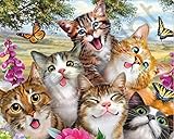 Craftymint DIY Diamond Painting Kits for Adults and Kids - Full Drill 5D Dotz by Numbers Kit - Large 16x20