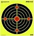 BEEWARE Shooting Targets Largest Splatter Guaranteed 12