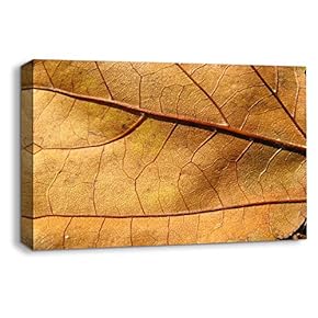 Canvas Wall Art Leaf Veins Pictures Home Wall Decorations for Bedroom Living Room Paintings Canvas Prints Framed - 12x18 inches