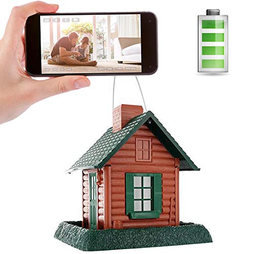 10 Best Bird Feeder Camera Wireless For 2019 Klubem Reviews