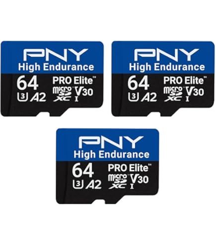 Amazon.com: 2-Pack SanDisk High Endurance Video Monitoring