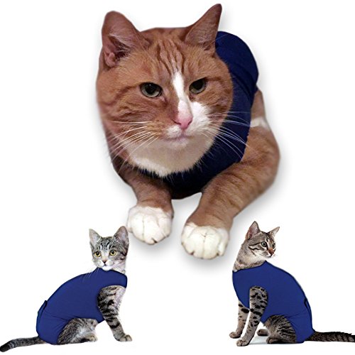 Cat Medical Vest Recovery Suit For Cats and Small Dogs Buy Online in UAE. Pet Supplies