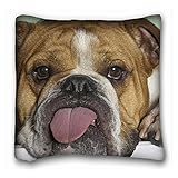 Decorative Square Throw Pillow Case Animals English bulldog is language tired 18