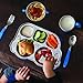 Innobaby Din Din Smart Stainless Steel Cup (9 oz) with Handle for Babies, Toddlers and Kids. BPA Free, Green