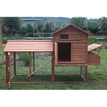 Amazon.com : Formex Snap Lock Large Chicken Coop Backyard ...
