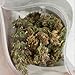 munchiecat Organic Catnip Buds, Premium Cat Nip Bud, Hand Harvested USA Grown (5 Grams)