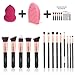 Makeup Brushes Powder Foundation Concealer Eyeliner Makeup Brush Set Cosmetics Tool (14 PCS Rose Gold)