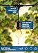 Hyperikon Outdoor Commercial String Light - Bulbs Not Included, String Only, 48ft with 15 Dropped Sockets - Weatherproof String Light, Great for Patio, Backyard, Garden, Wedding