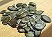 Organic Pumpkin Seeds - Grown in Oregon - 10 oz bag