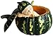 Top Collection Miniature Fairy Garden and Terrarium Sleeping Fairy Baby in Green Gourd Statue