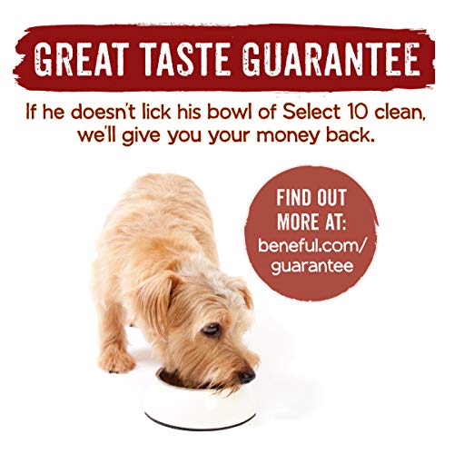 Purina Beneful Natural Dry Dog Food, Select 10 With Farm Raised Beef