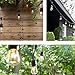 Twinkle Star 48 ft Outdoor String Lights 15 Bulbs 11 W Patio Lights with 3 Spare Bulbs Waterproof for Porch, Yard, Patio, Garden, Balcony Decoration (2 Pack)