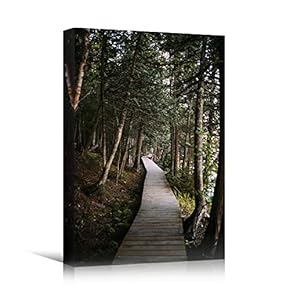signwin Canvas Wall Art Green Forest Dramatic Forest...