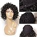 Jolia Hair Fashion Gorgeous Hairstyles Synthetic Short Curly Wavy Full Hair Wigs for Women Natural Look, Jet Black (D03)