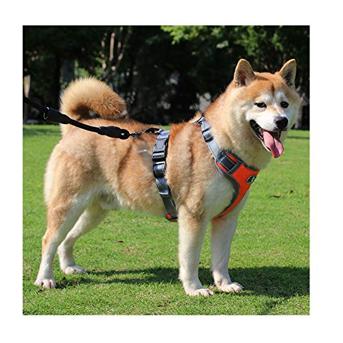 Dog Harness with Leash, Adjustable with Reflective Strips for Medium Large Dogs - Image 7